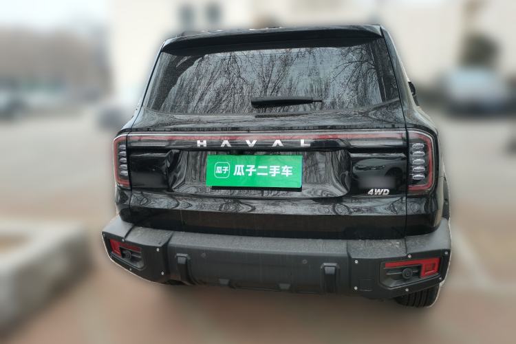 Used Haval DARGO 2024 2.0T DCT Chinese Rural Dog Edition
