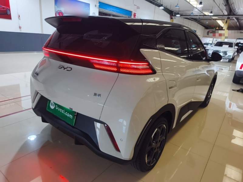 Used BYD Seagull 2025 305 km Free Version — 6