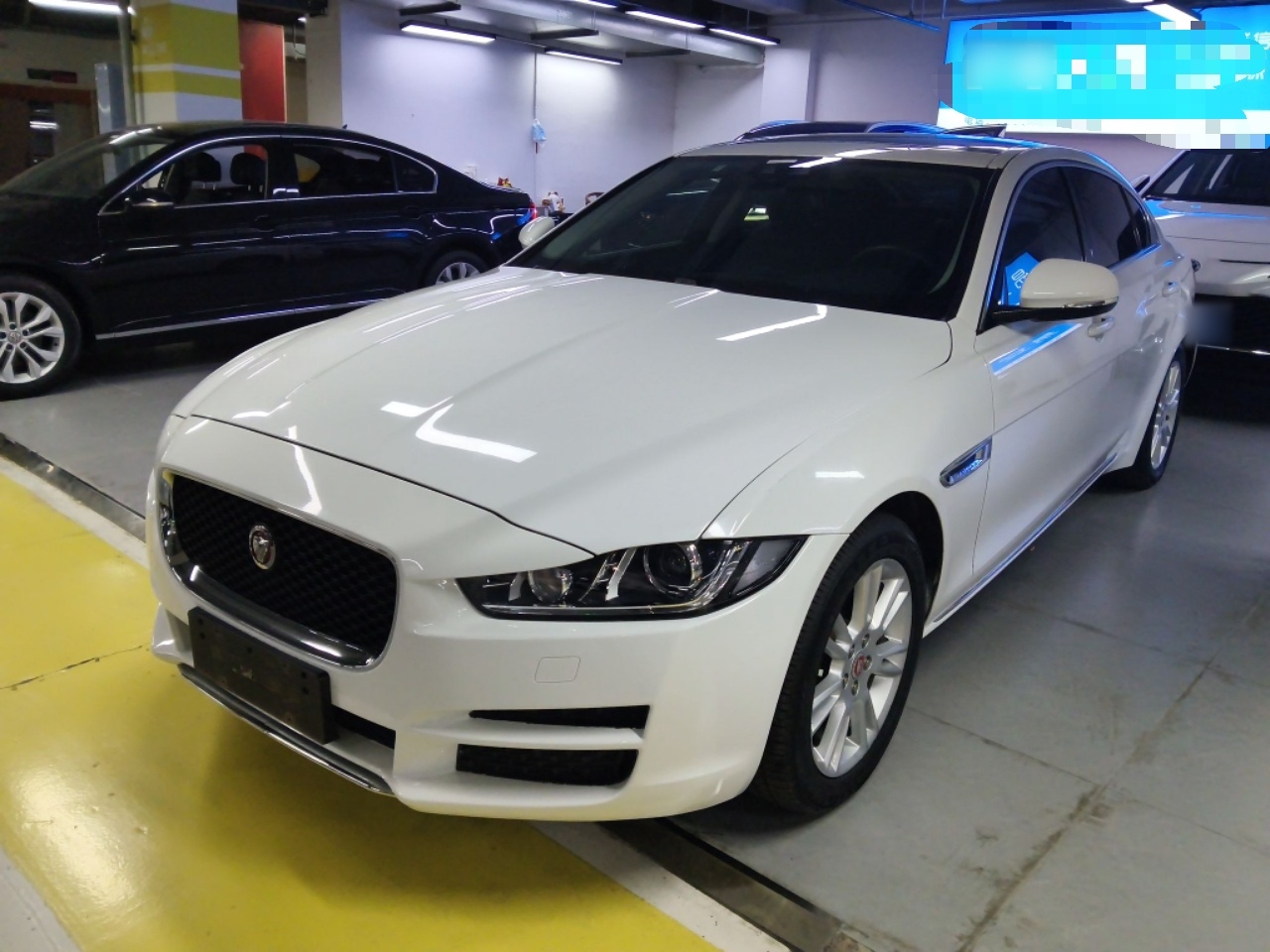 Parte inferior delantera