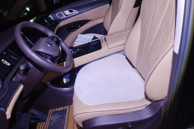 Used Denza D9 2024 DM-i 980 Four-Wheel Drive Flagship Model
