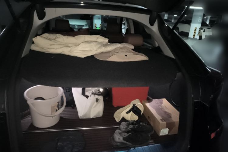 Used Honda Avancier 2020 370TURBO Four-Wheel Drive Premium Edition