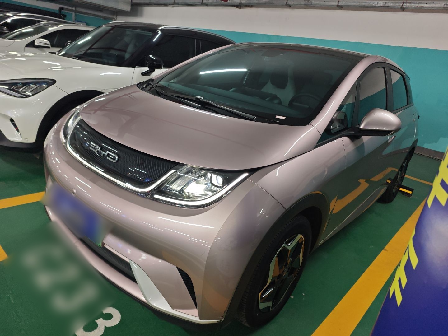 Parte inferior delantera