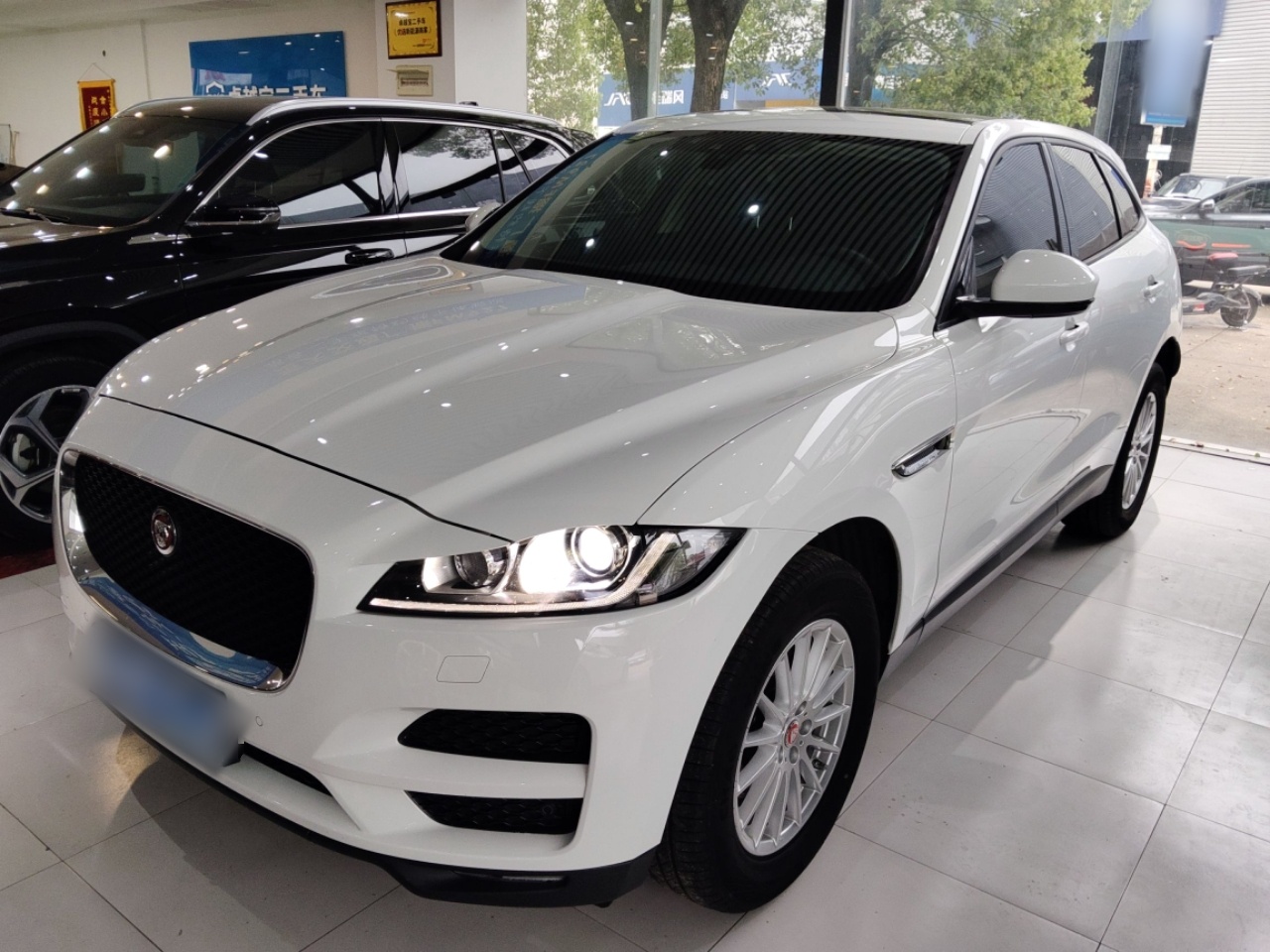 Parte inferior delantera