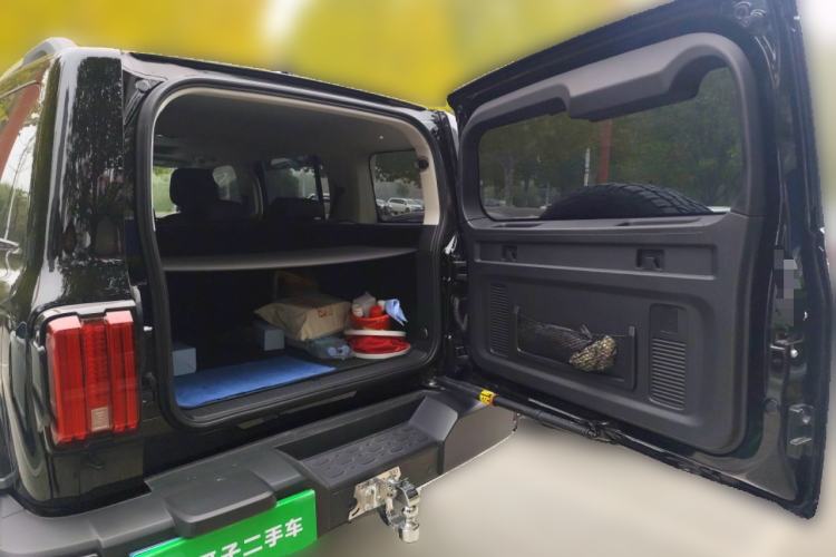 Used Tank 300 2023 City Edition 2.0T Essential Model