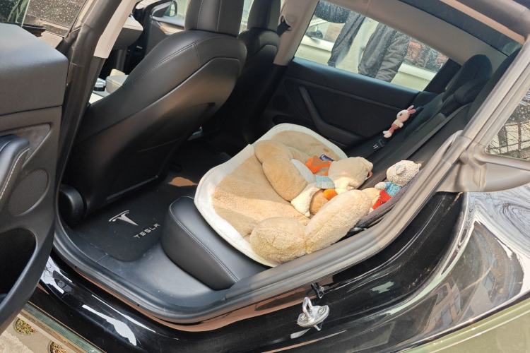 Used Tesla Model 3 2021 Standard Range Rear-Wheel Drive Upgraded Version 3D6
