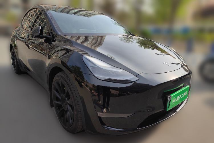 Used Tesla Model Y 2021 Standard Range Rear-Wheel Drive Version
