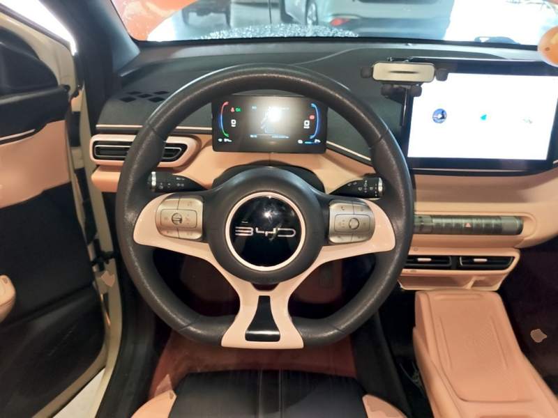 Used BYD Seagull 2024 Honor Edition 305km Dynamic Version — 10