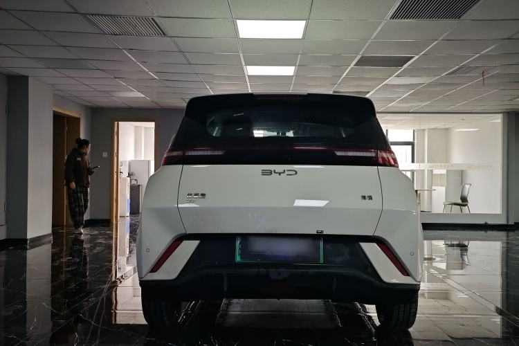 Used BYD Seagull 2025 305 km Free Version