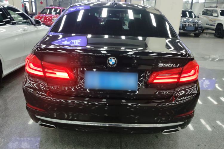 Used BMW 5 Series 2020 530Li Luxury Edition Premium Package