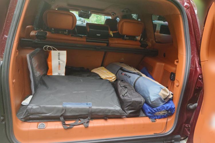 Used Tank 500 2022 3.0T High-End Custom Edition 5 Seats Trunk