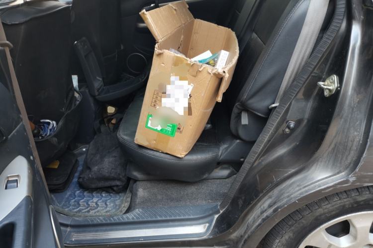 Used Haima Puxima 2010 1.6L Manual 7-Seater Luxury Left Rear Seat