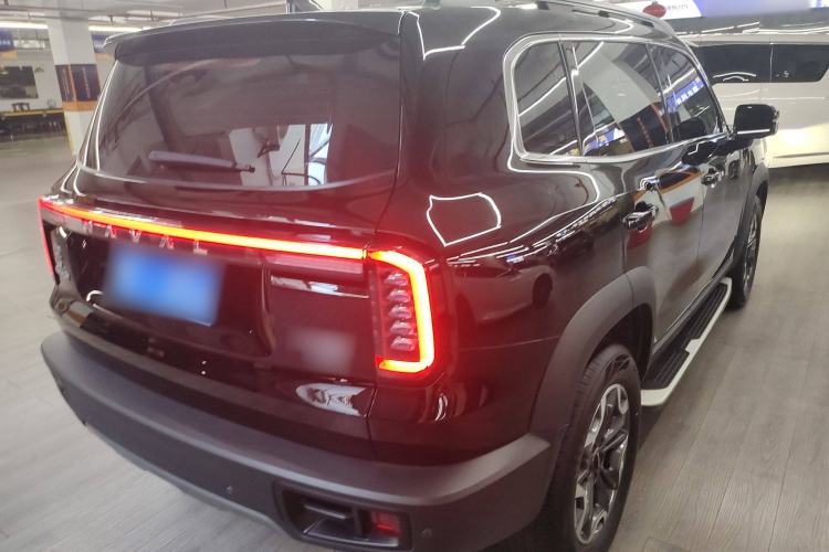 Used Haval DARGO 2024 2.0T DCT Chinese Rural Dog Edition