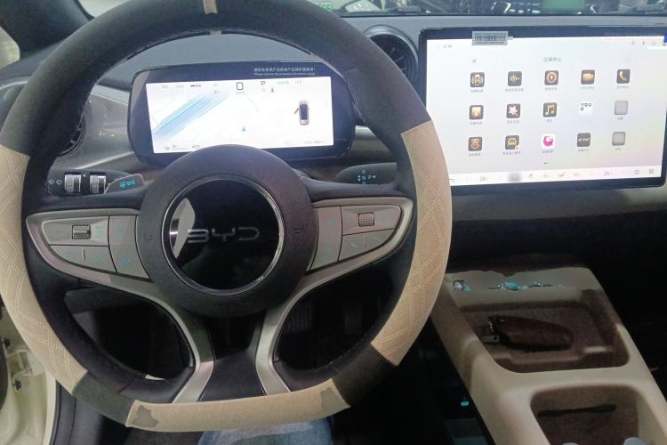 Used BYD Dolphin 2025 Smart Drive Version 420 km Freedom Edition
