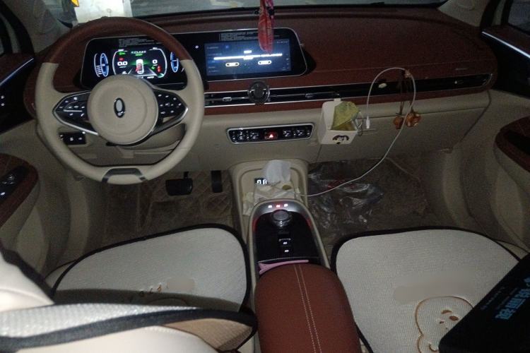 Used ORA Good Cat 2022 400km Standard Range Luxury Version Lithium Iron Phosphate Center Console