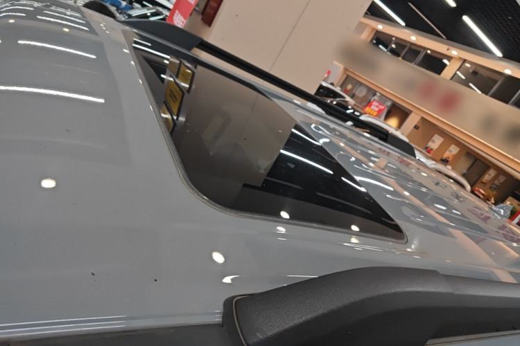 Used Tank 300 2024 2.0T Conqueror