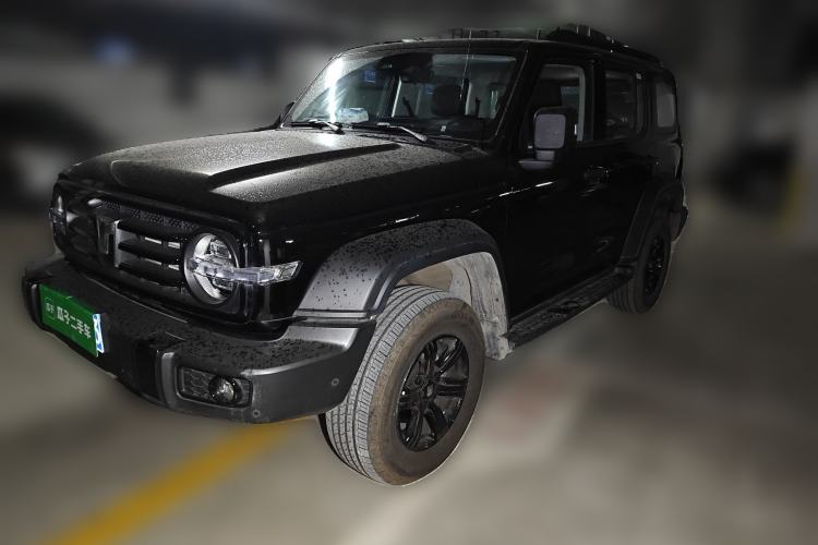 Used Tank 300 2025 2.4T Diesel Version