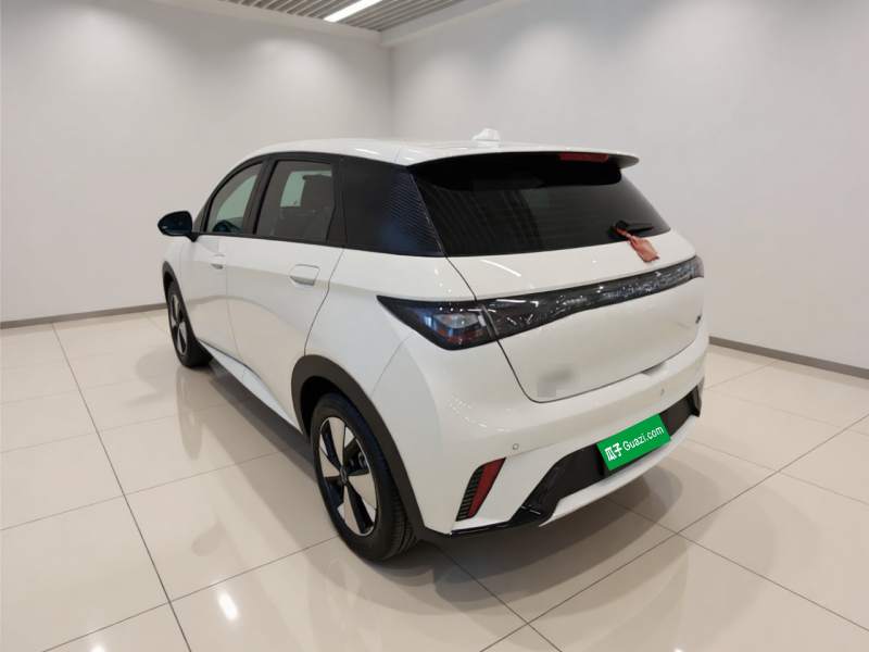 Used BYD Dolphin 2023 420 km Free Version — 4