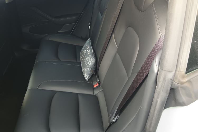 Used Tesla Model 3 2020 Standard Range Rear-Wheel Drive Upgraded Version