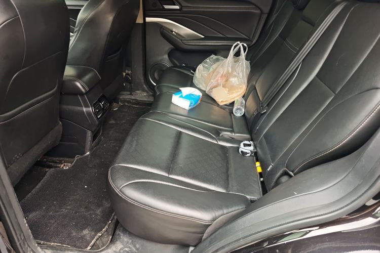 Used Wey VV6 2020 2.0T Two-Wheel Drive Smart Protection+ Left Rear Seat