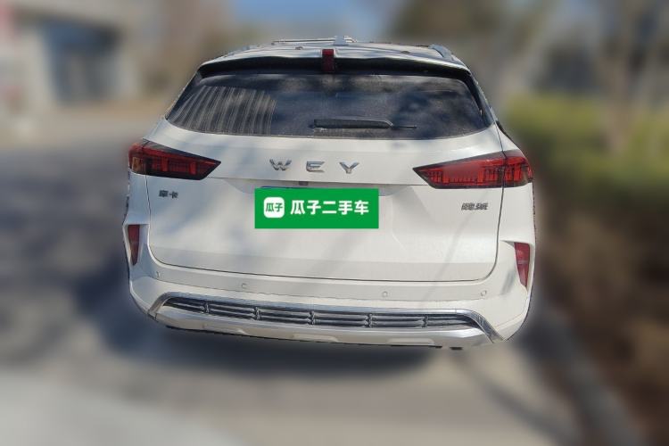 Used Wey Mocha 2021 2.0T Two-Wheel Drive Special Edition