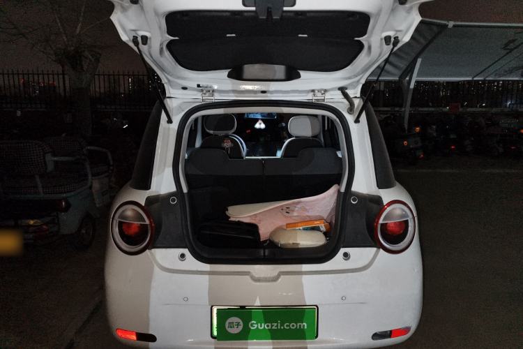 Used Qiyuan Lumin 2023 205km Xiangqin Version
