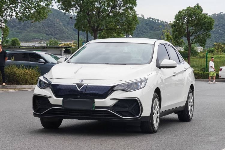 Used Venucia D60EV 2022 Standard Range Smart Drive Version