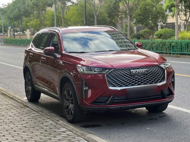 Used Haval H6 2021 3rd Generation 1.5T Automatic Two-Wheel-Drive Supreme — 31