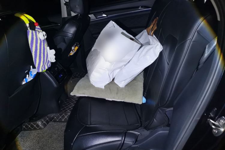 Used Volkswagen Teramont X 2020 Revised Version 380TSI Four-Wheel Drive Prestige Luxury Edition Left Rear Seat