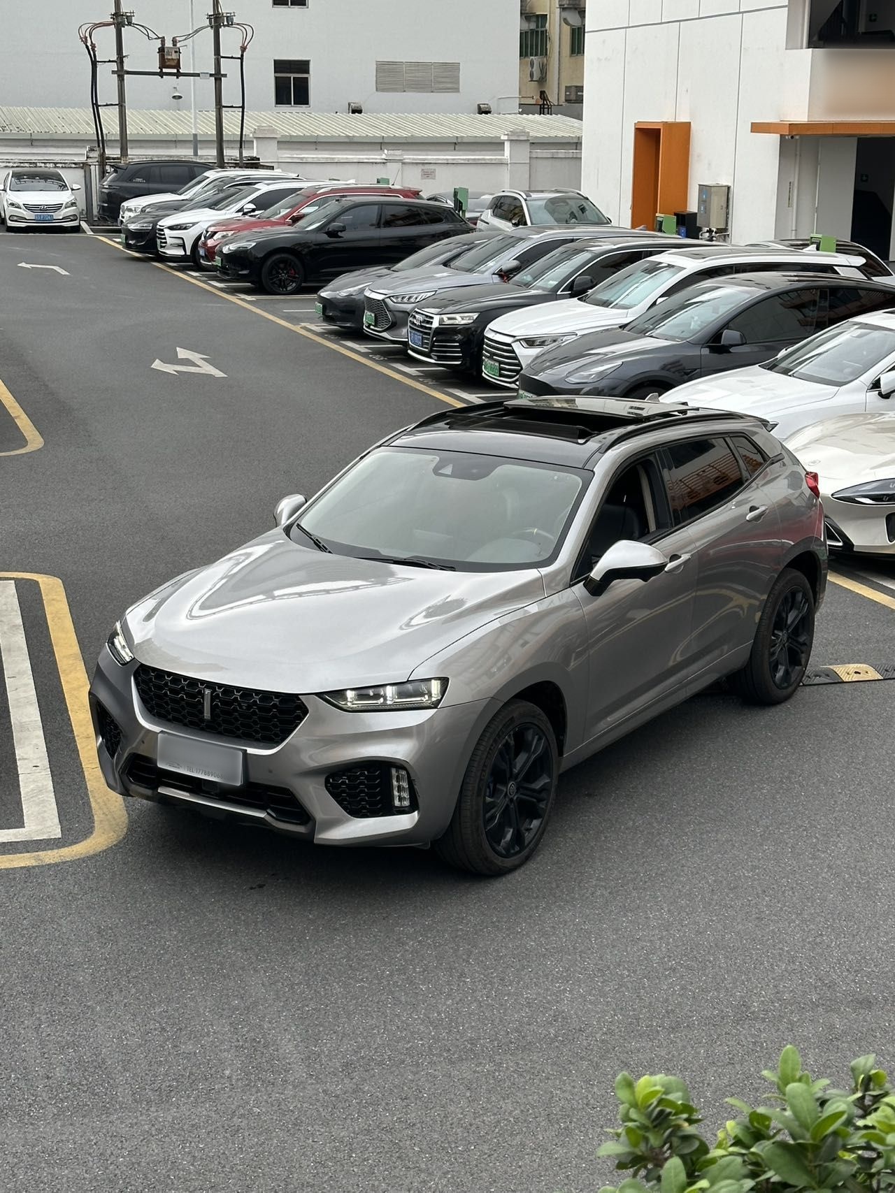 Parte inferior delantera