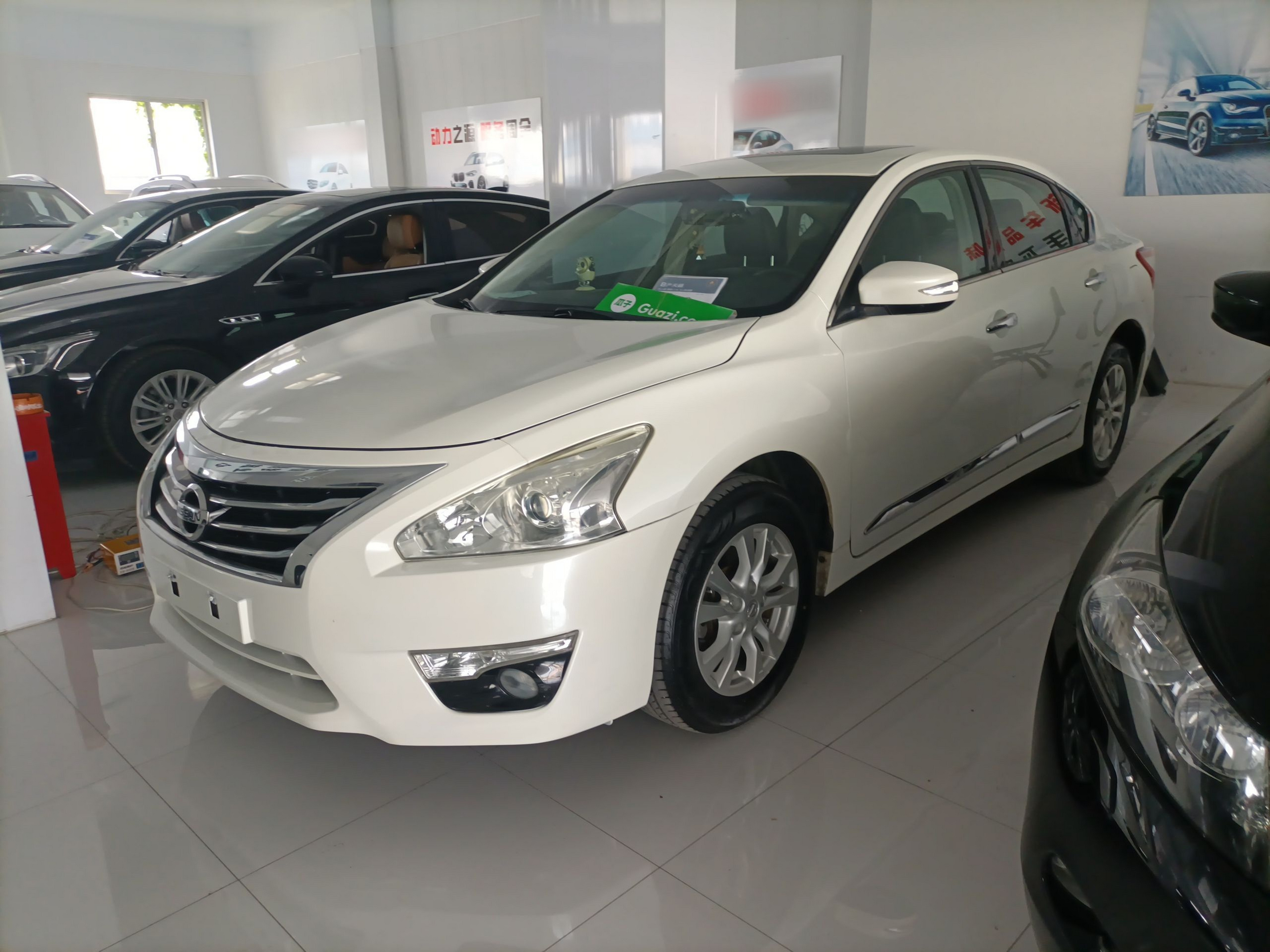 Parte inferior delantera