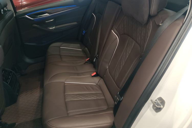 Used BMW 5 Series New Energy 2019 Updated Version 530Le Luxury Package Left Rear Seat