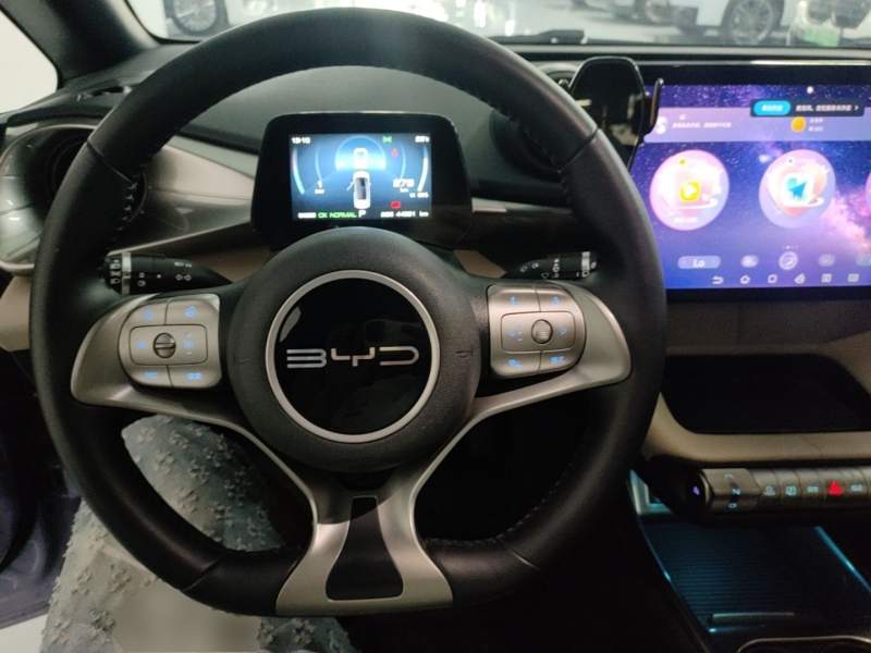 Used BYD Dolphin 2023 420 km Fashion Edition — 10