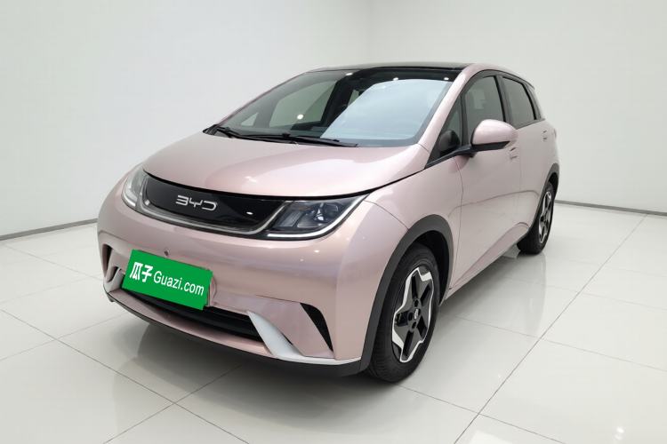 Used BYD Dolphin 2021 405 km Free Version