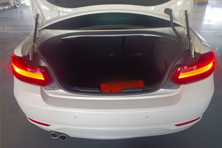 Used BMW 2 Series 2017 220i Leading Model