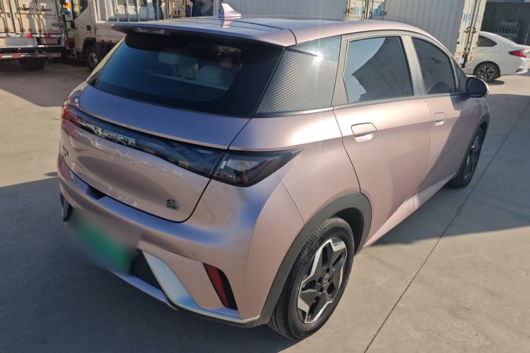 Used BYD Dolphin 2021 405 km Fashion Edition
