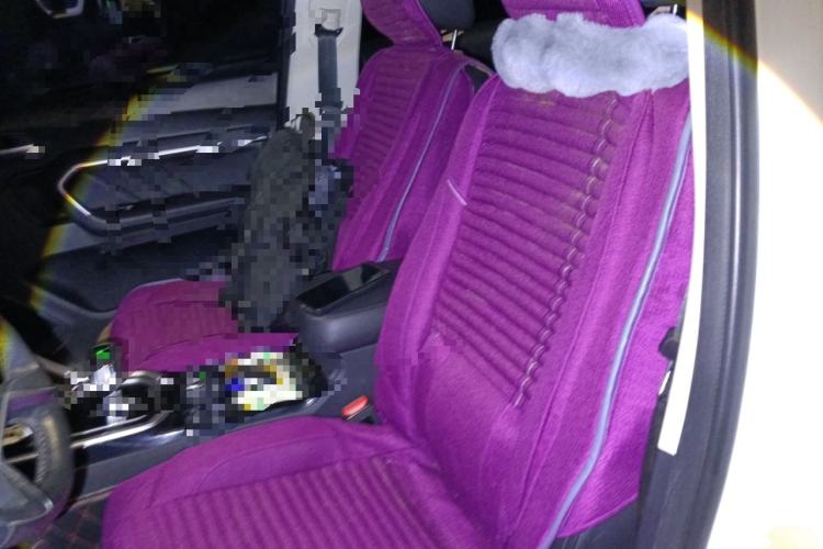 Used Haval H6 2017 Red Label 2.0T Automatic Two-Wheel Drive ZhiShang Model