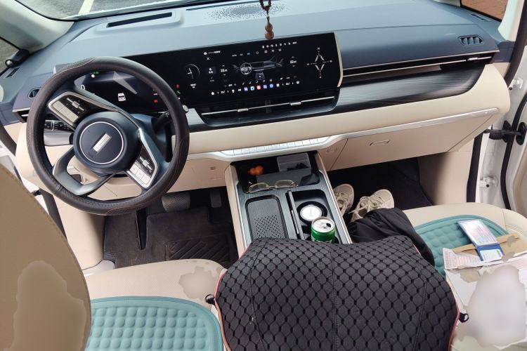 Used Wey Gaoshan 2023 Four-Wheel Drive Flagship Edition
