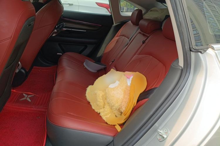 Used XPeng P7 2020 670N
