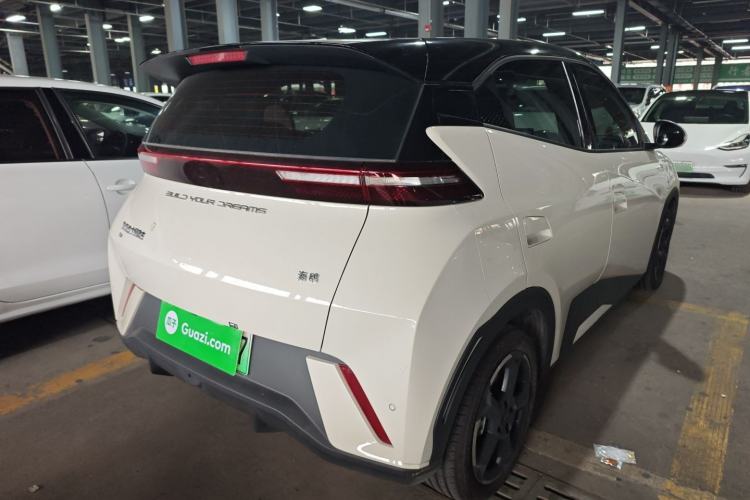 Used BYD Seagull 2023 Free Edition Rear Right 45 Deg