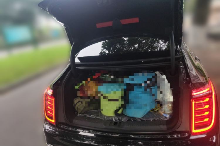 Used Hongqi H9 2020 2.0T Smart Connect Flagship Edition
