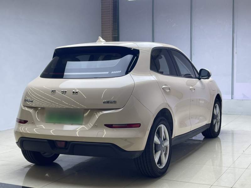 Used ORA Good Cat 2025 Model, 430 km Prestige Version — 31