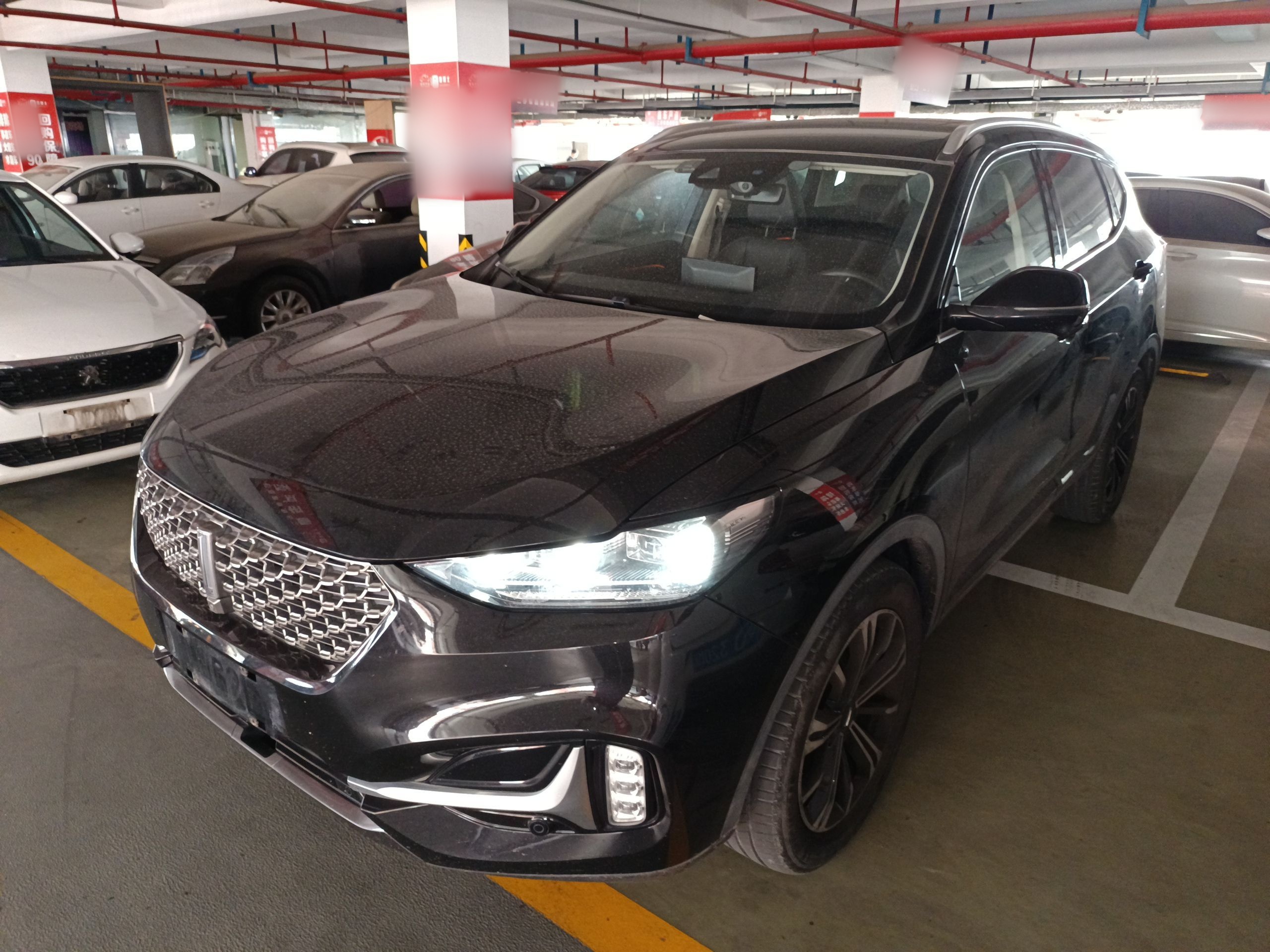 Parte inferior delantera