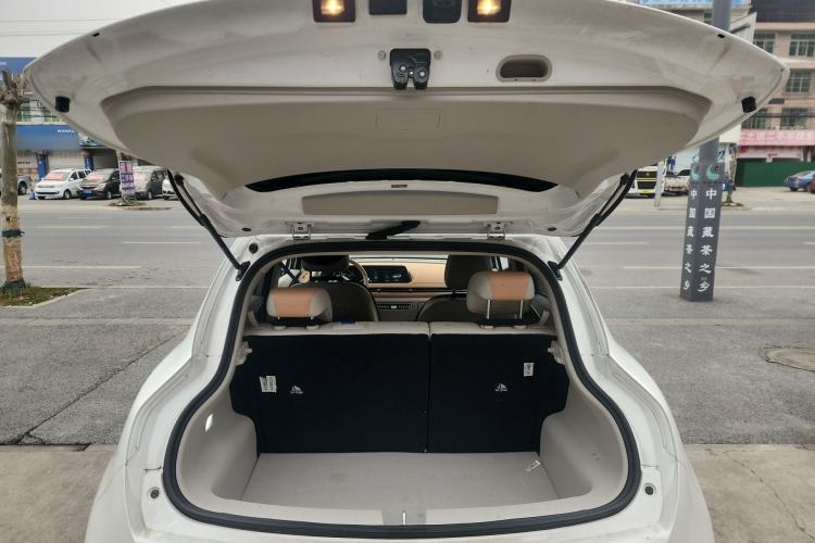 Used ORA Good Cat 2024 401 km Luxury Version