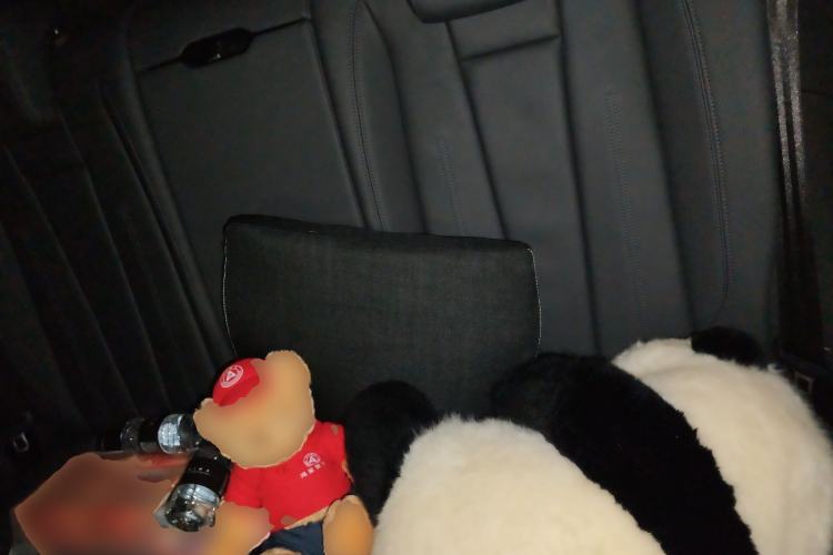 Used Audi A5 2022 Coupe 40 TFSI Fashion Dynamic Model Left Rear Seat