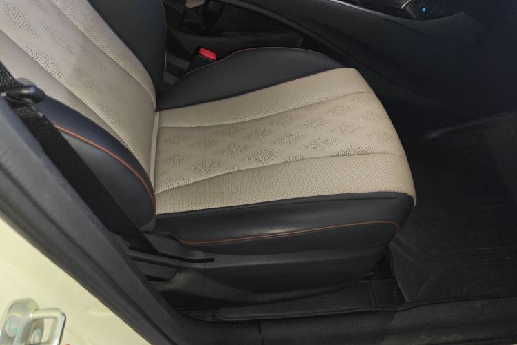 Used BYD Dolphin 2024 Honor Edition 420km Freedom Version Right Front Seat