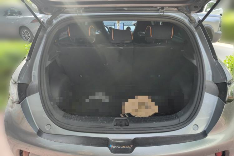 Used BYD Dolphin 2023 420 km Fashion Edition