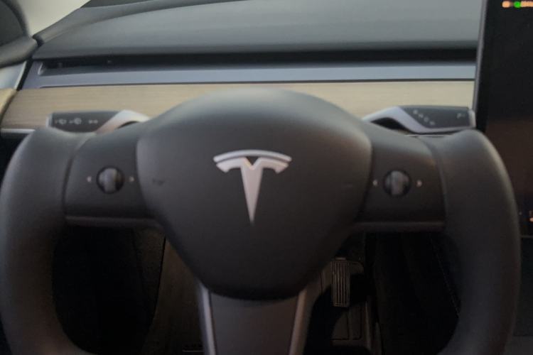 Used Tesla Model Y 2022 Revised Version Long-Range All-Wheel Drive
