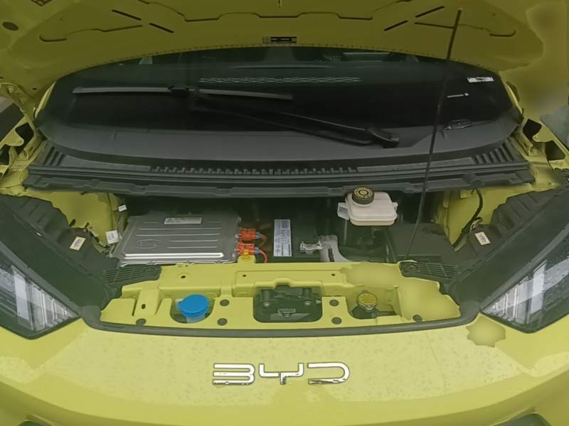 Used BYD Seagull 2023 Free Edition — 19