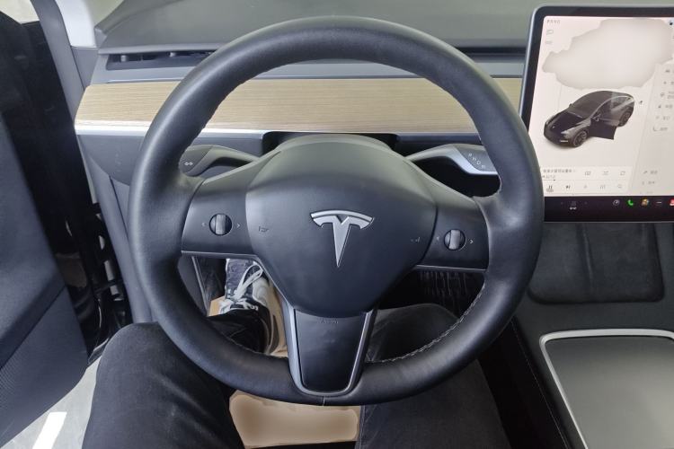 Used Tesla Model Y 2021 Standard Range Rear-Wheel Drive Version