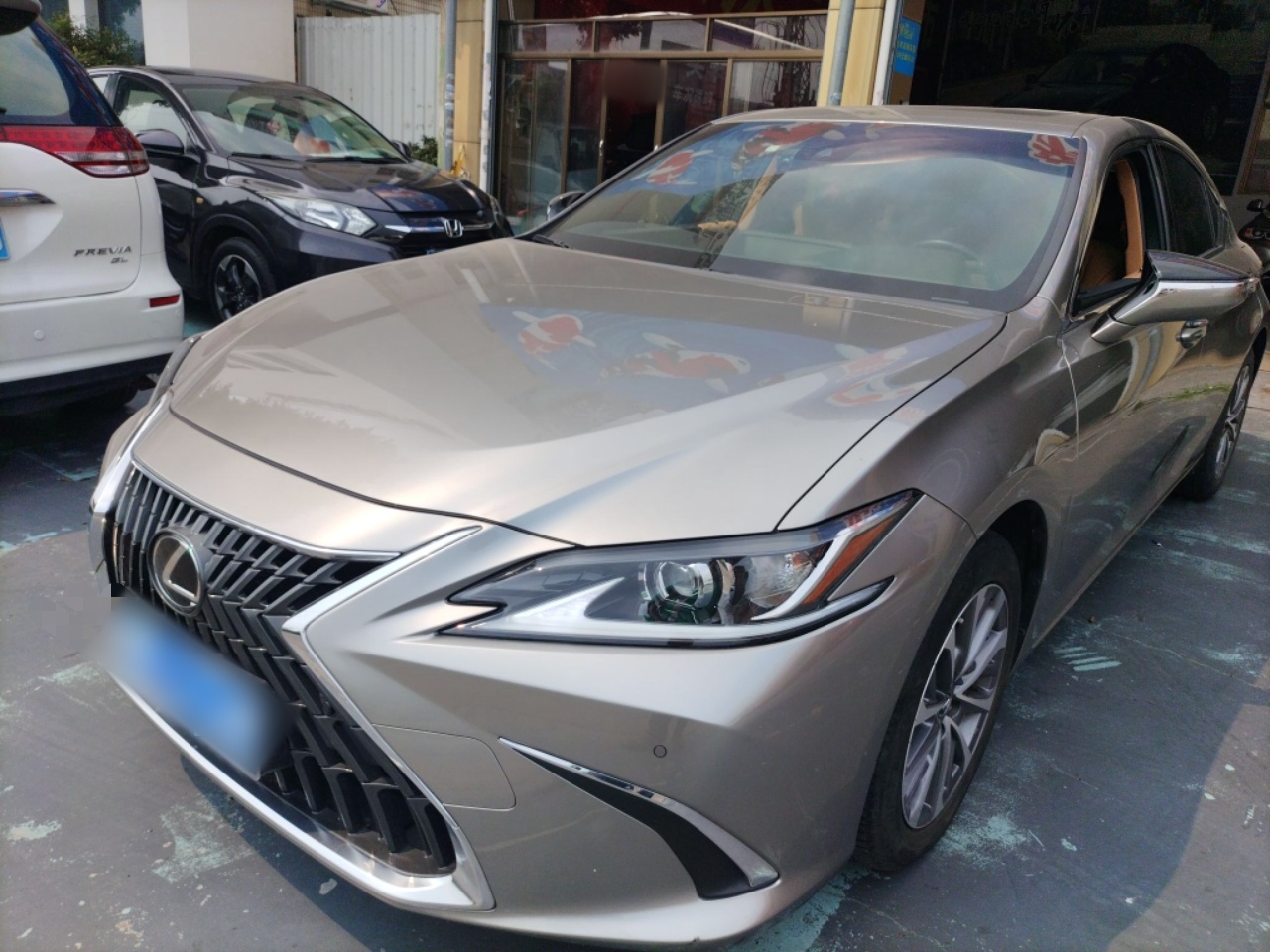 Parte inferior delantera